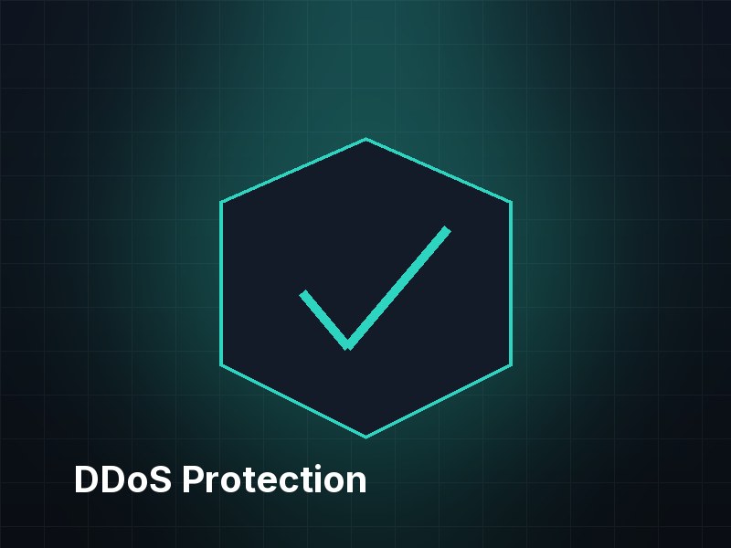 DDoS protection